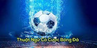 Những Thuật Ngữ Cá Độ Bóng Đá Phổ Biến Mà Người Chơi Cần Biết