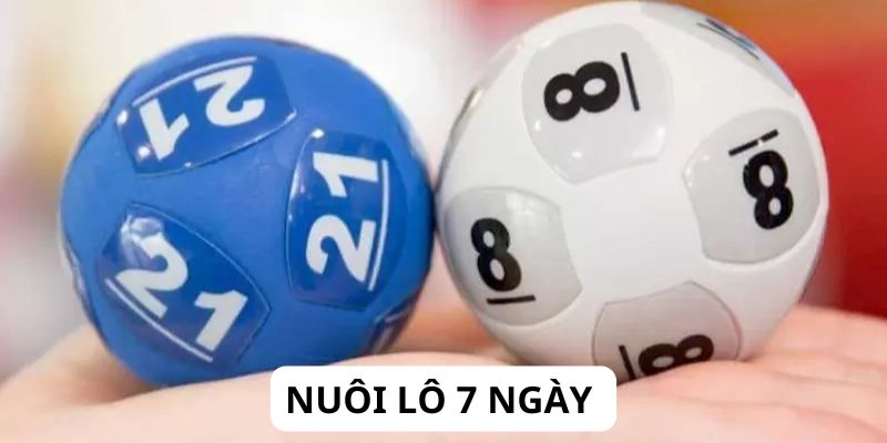 Chiến Thuật Nuôi Khung Lô 7 Ngày Hiệu Quả Tại Debet